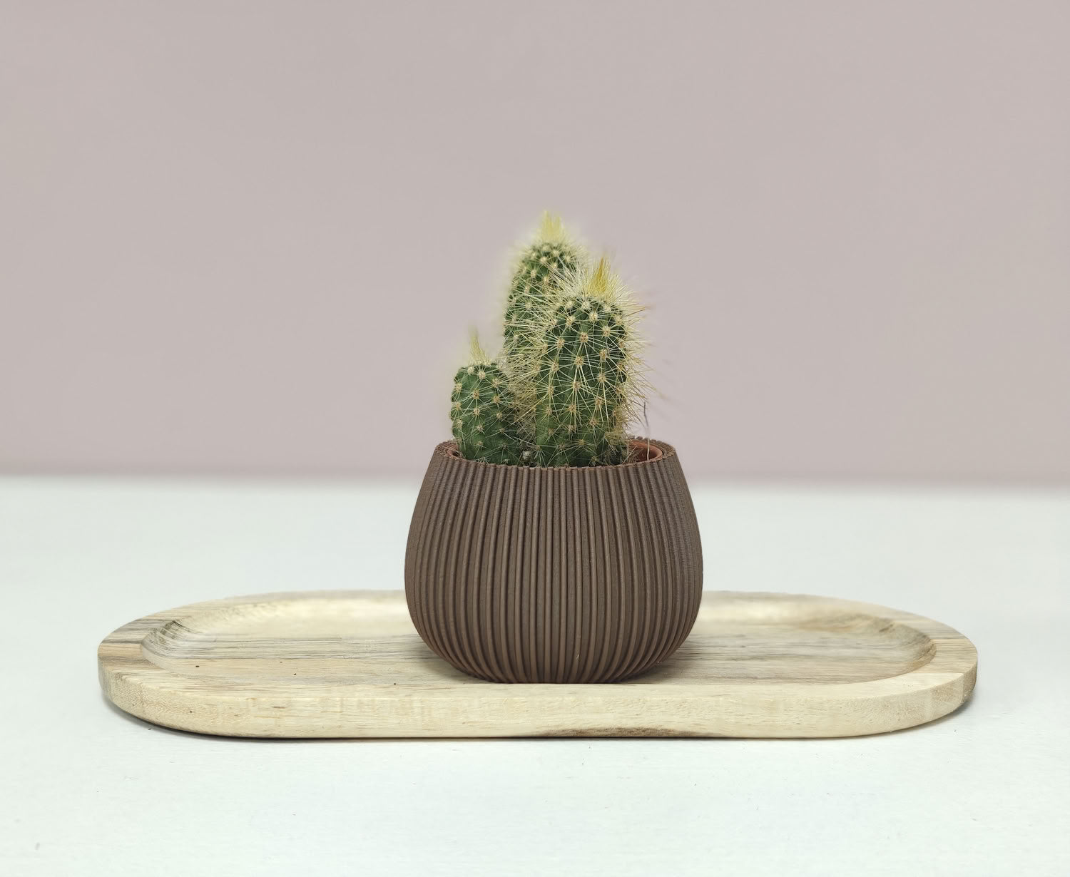 Nova Trio - Set van drie potjes (3D-geprint met wood-PLA)