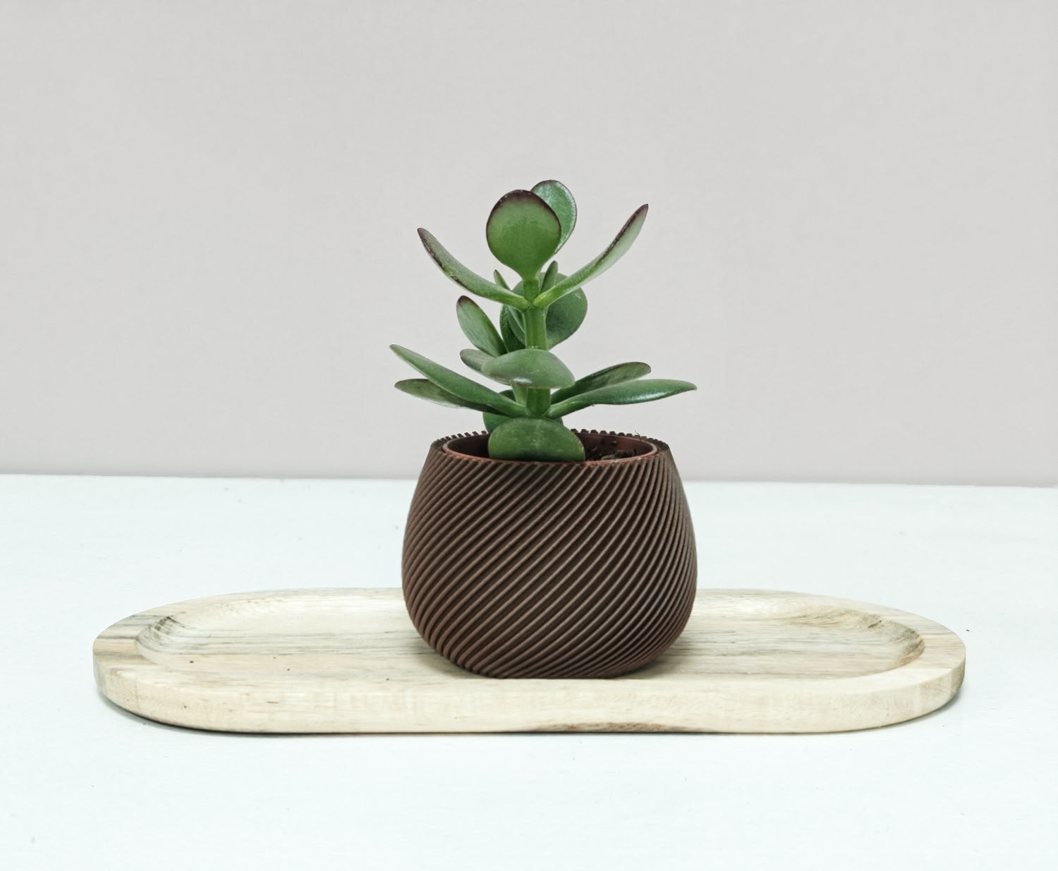 Nova Trio - Set van drie potjes (3D-geprint met wood-PLA)