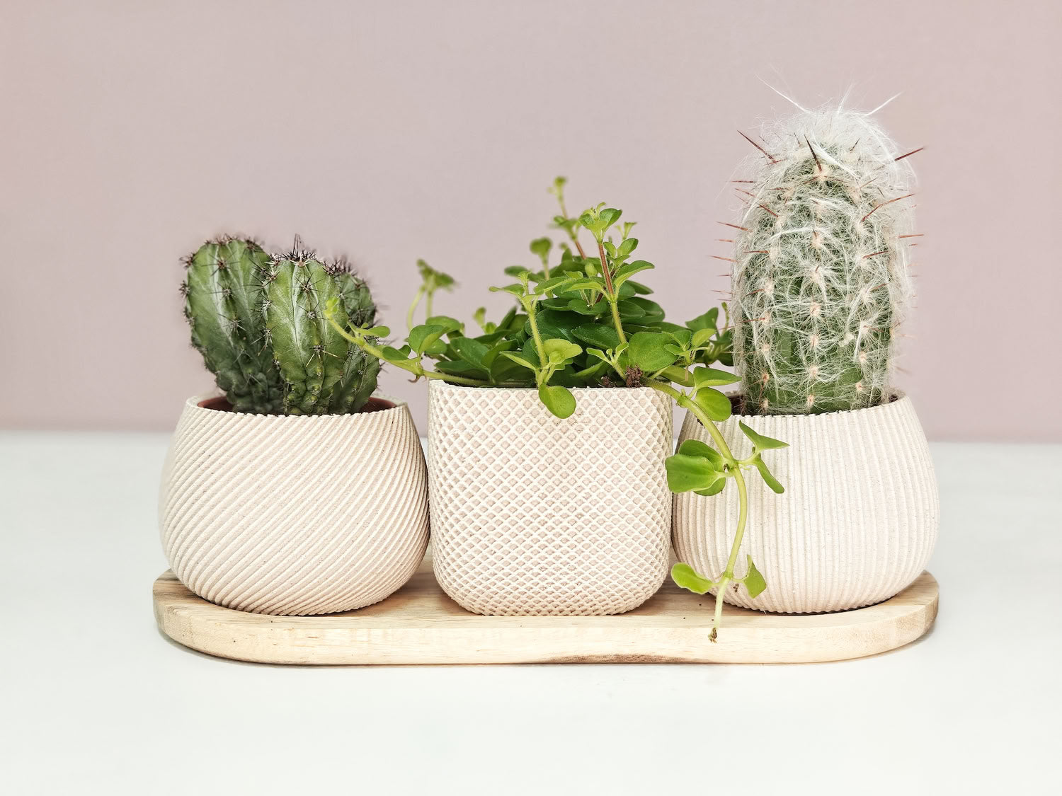 Nova Trio - Set van drie potjes (3D-geprint met wood-PLA)