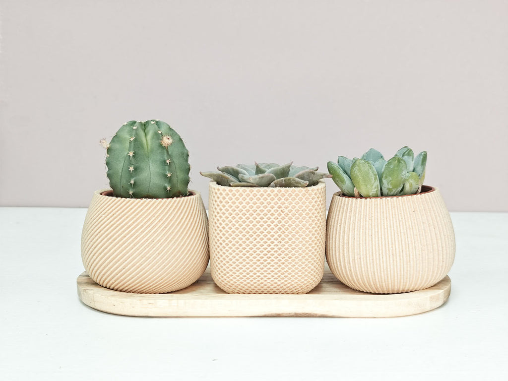 Nova Trio - Set van drie potjes (3D-geprint met wood-PLA)