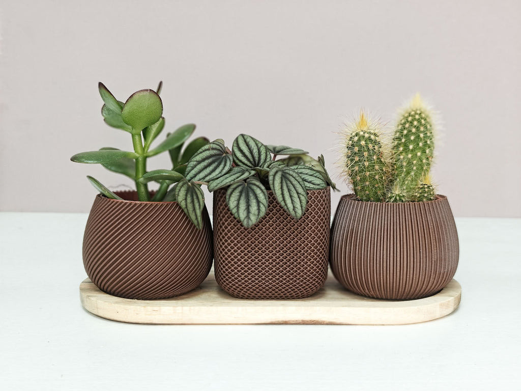 Nova Trio - Set van drie potjes (3D-geprint met wood-PLA)