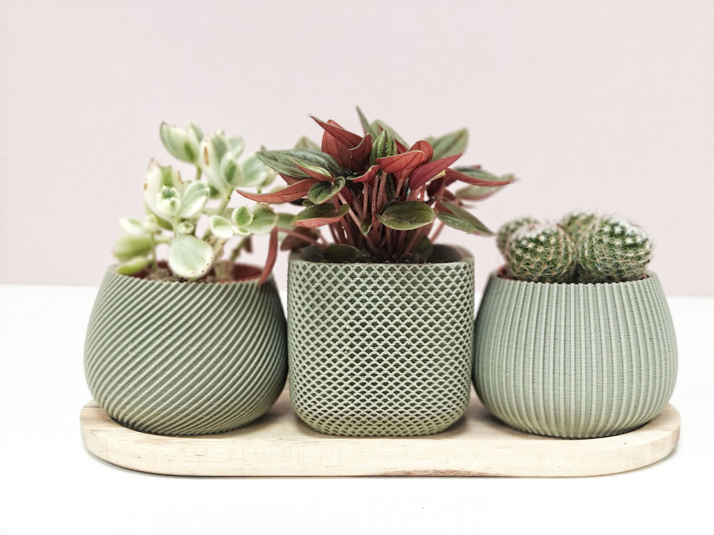 Nova Trio - Set van drie potjes (3D-geprint met wood-PLA)