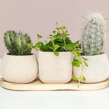 Nova Trio – set van 3 minimalistische bloempotjes